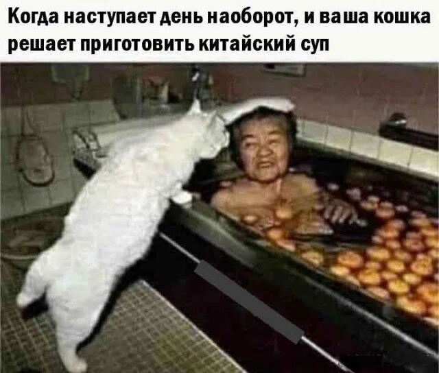 Дички в честь отсутствия мобильного интернета