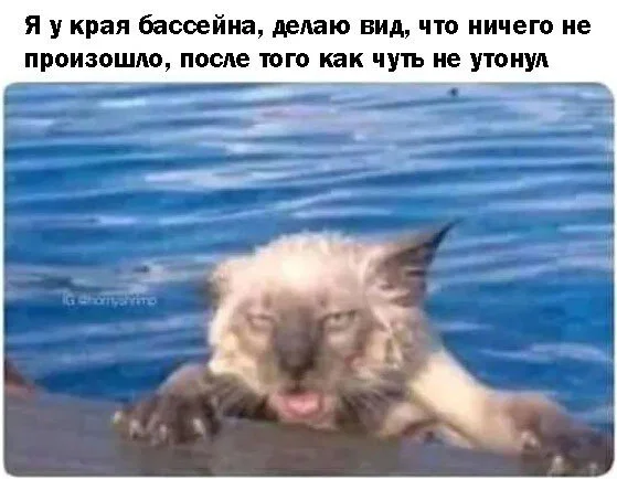 Дички в честь отсутствия мобильного интернета