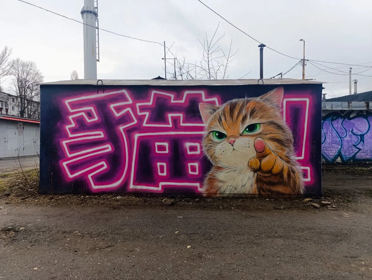 А ты купил еду котикам?