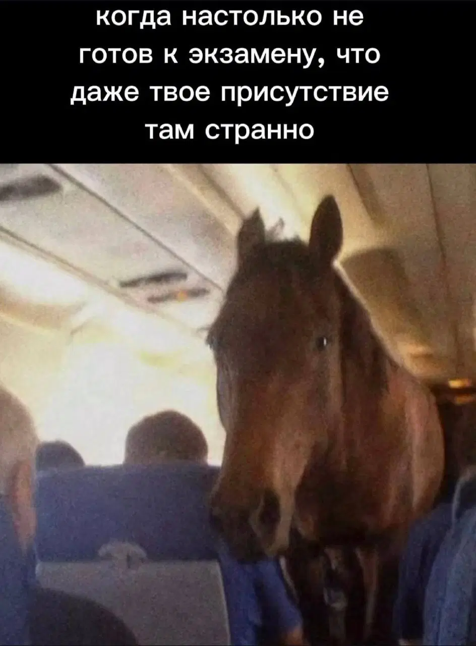 Дичка в отсутствие интернета