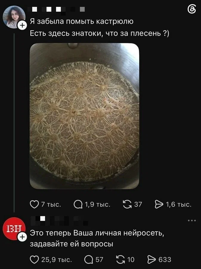 Дичка в отсутствие интернета