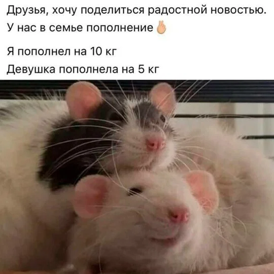 Дичка в отсутствие интернета