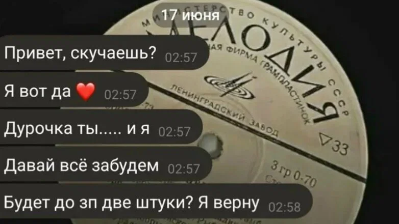 Дичка в отсутствие интернета
