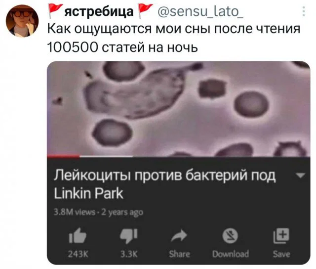 Дичульки в ночули