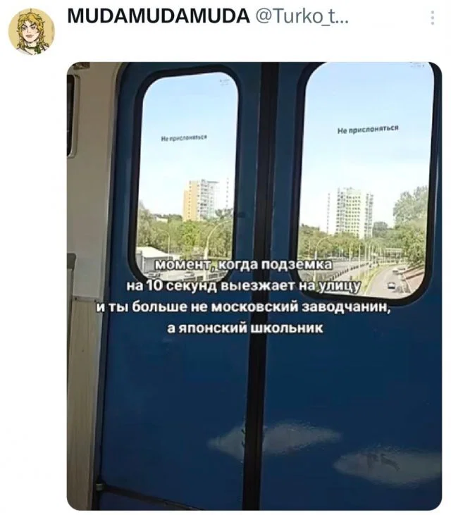 Дичульки в ночули