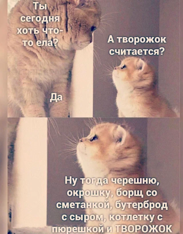 Дичульки в ночули