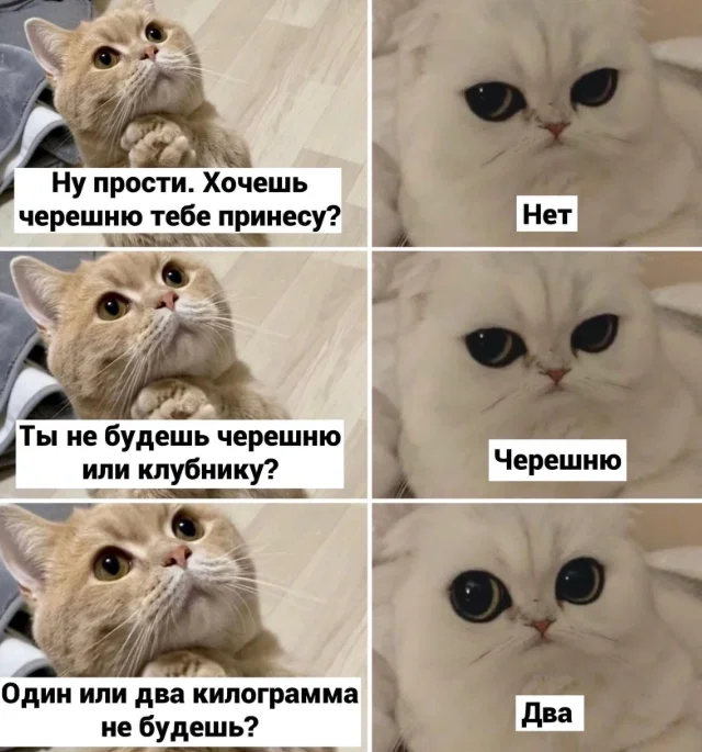 Дичульки в ночули