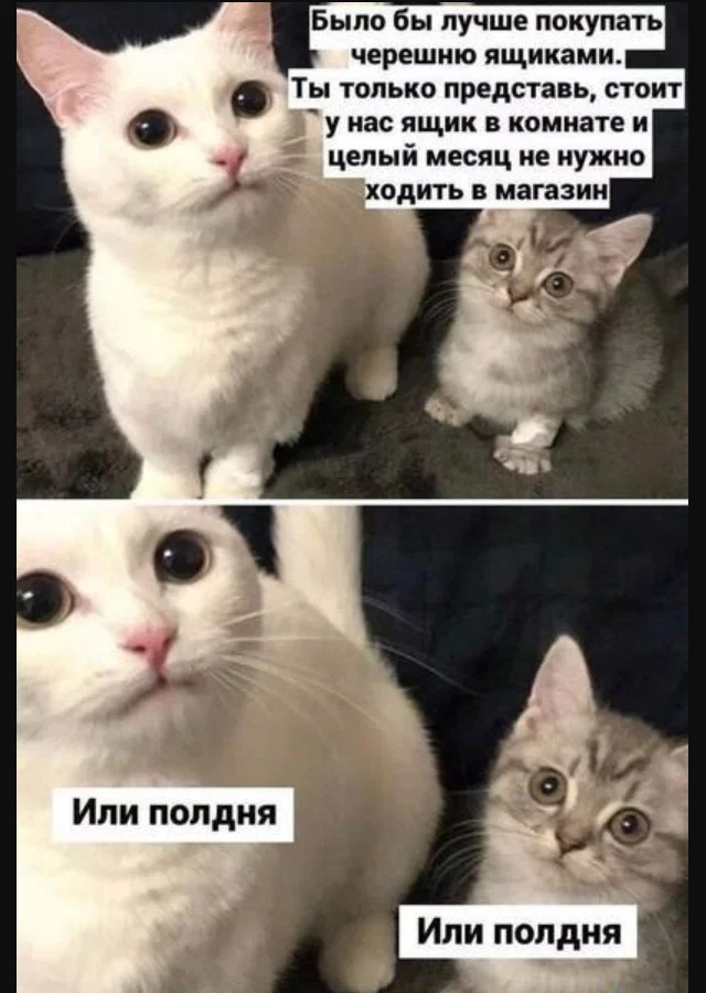Дичульки в ночули