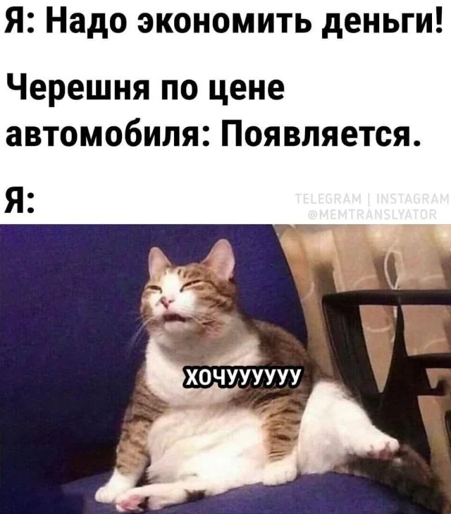 Дичульки в ночули