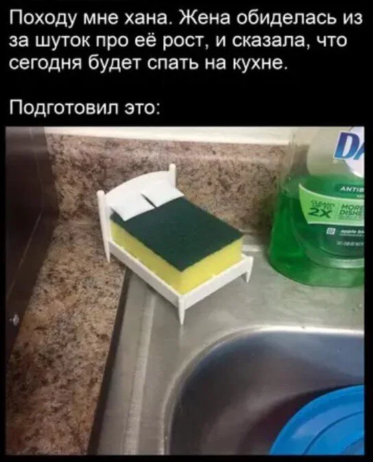 Дичульки в ночули
