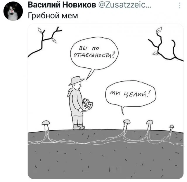 Дичульки в ночули