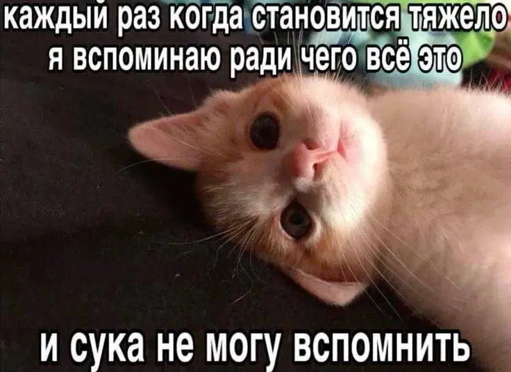 Дички отпускной для загара