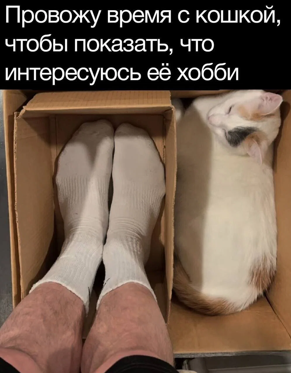 Дички отпускной для загара