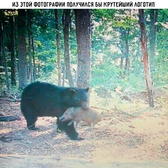 Дички отпускной для загара