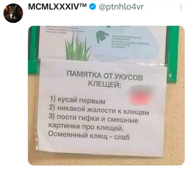 Дички отпускной для загара