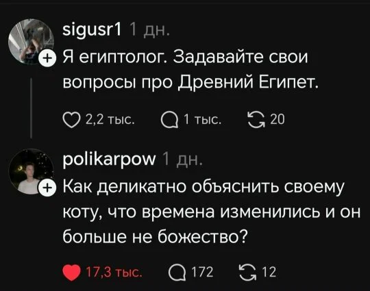 Дички в субботу в кофе дневной