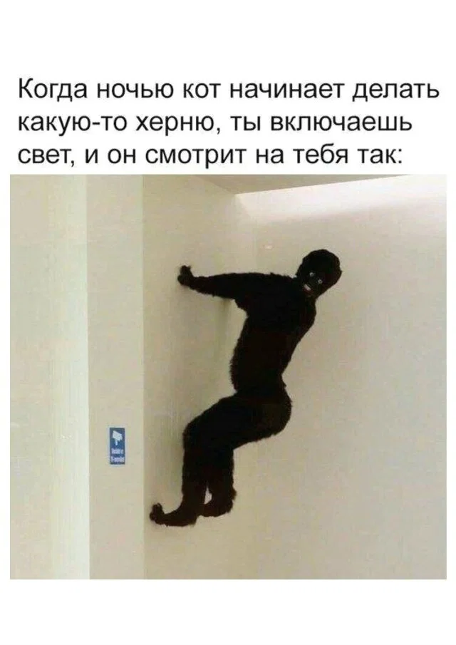 Дички в субботу в кофе дневной