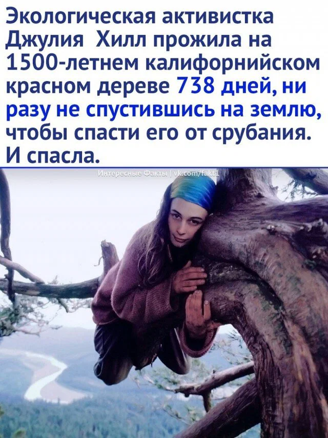 Дички в субботу в кофе дневной