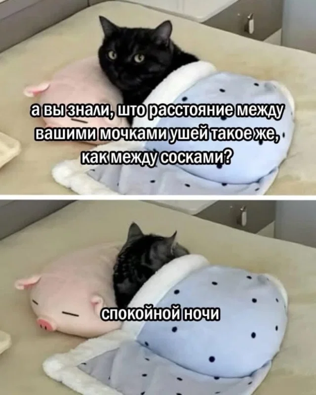Дички в субботу в кофе дневной