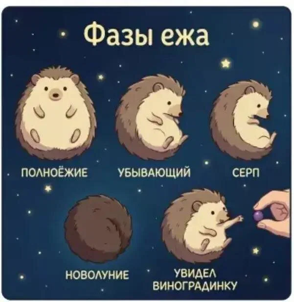 Дички в субботу в кофе дневной