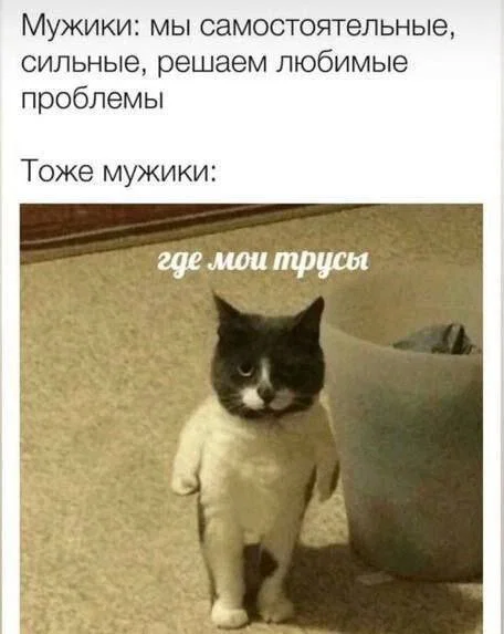 Дички в субботу в кофе дневной
