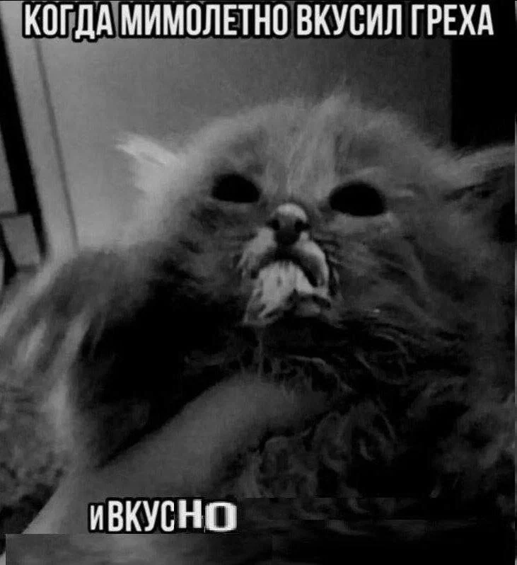 Дичкос сэр