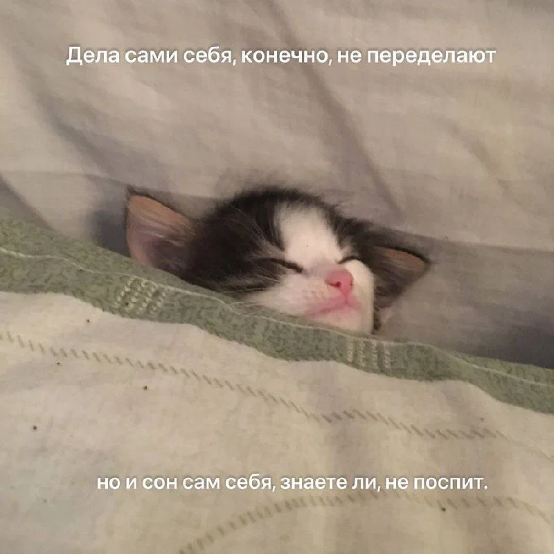 Дичкос сэр