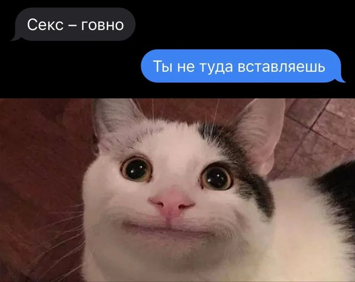 Дичкос сэр