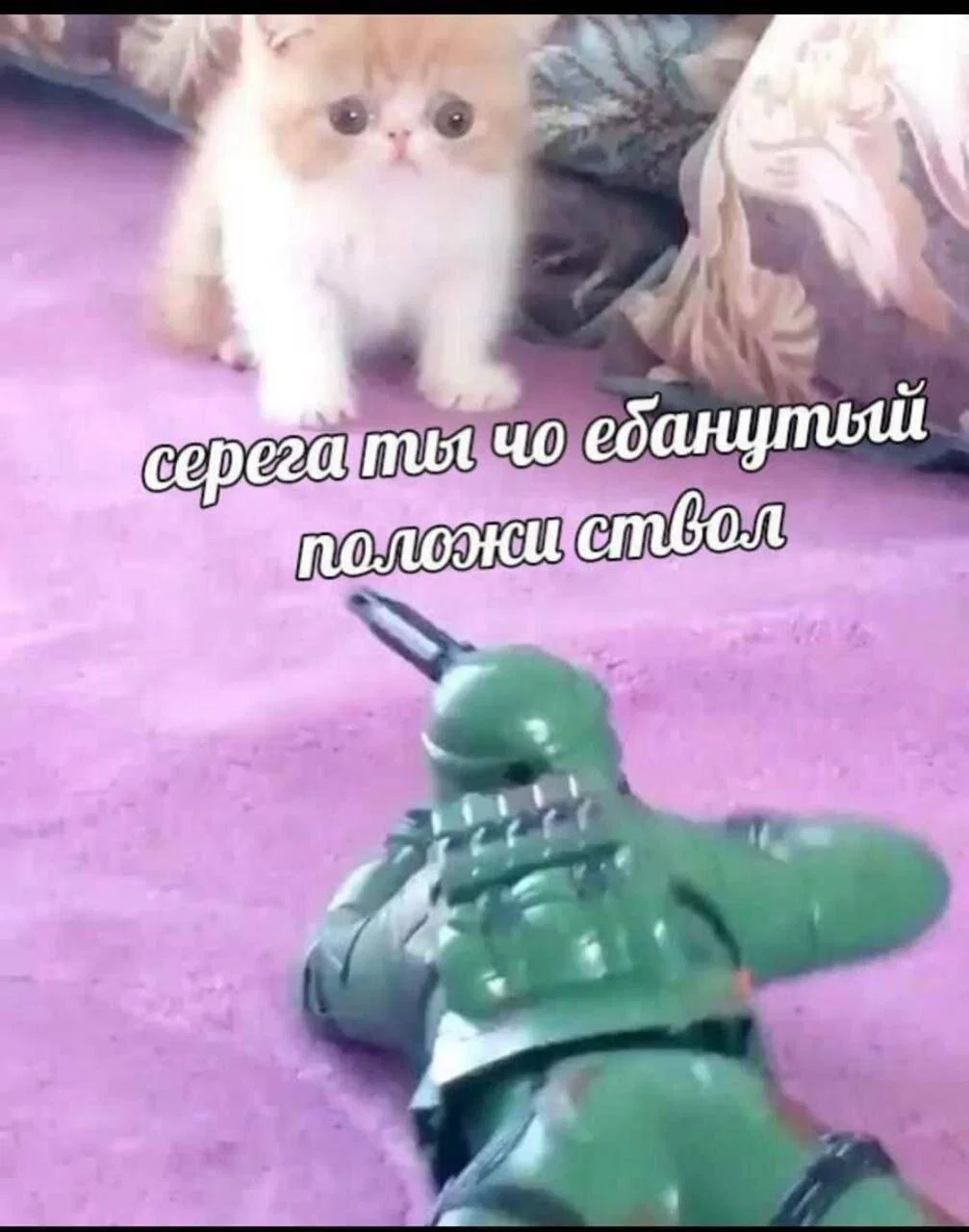 Дичкос сэр