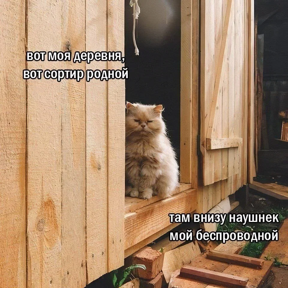 Дичкос сэр