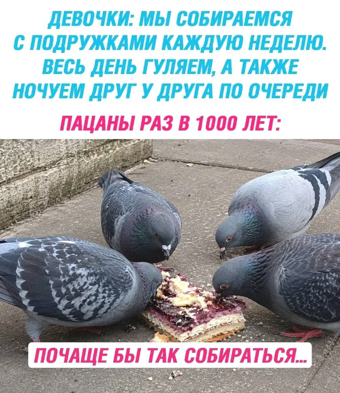 Дичкос сэр