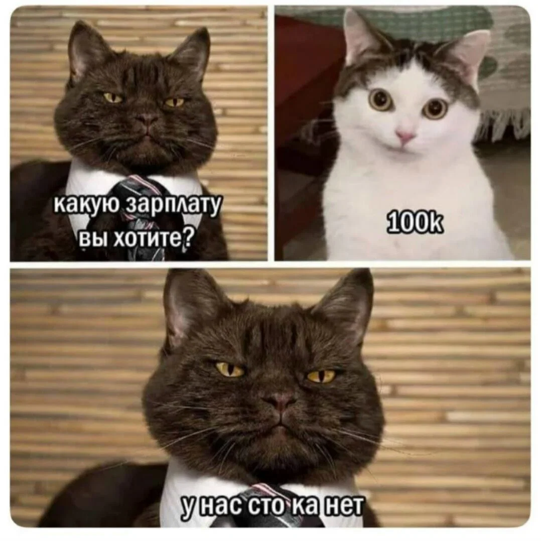 Дичкос сэр