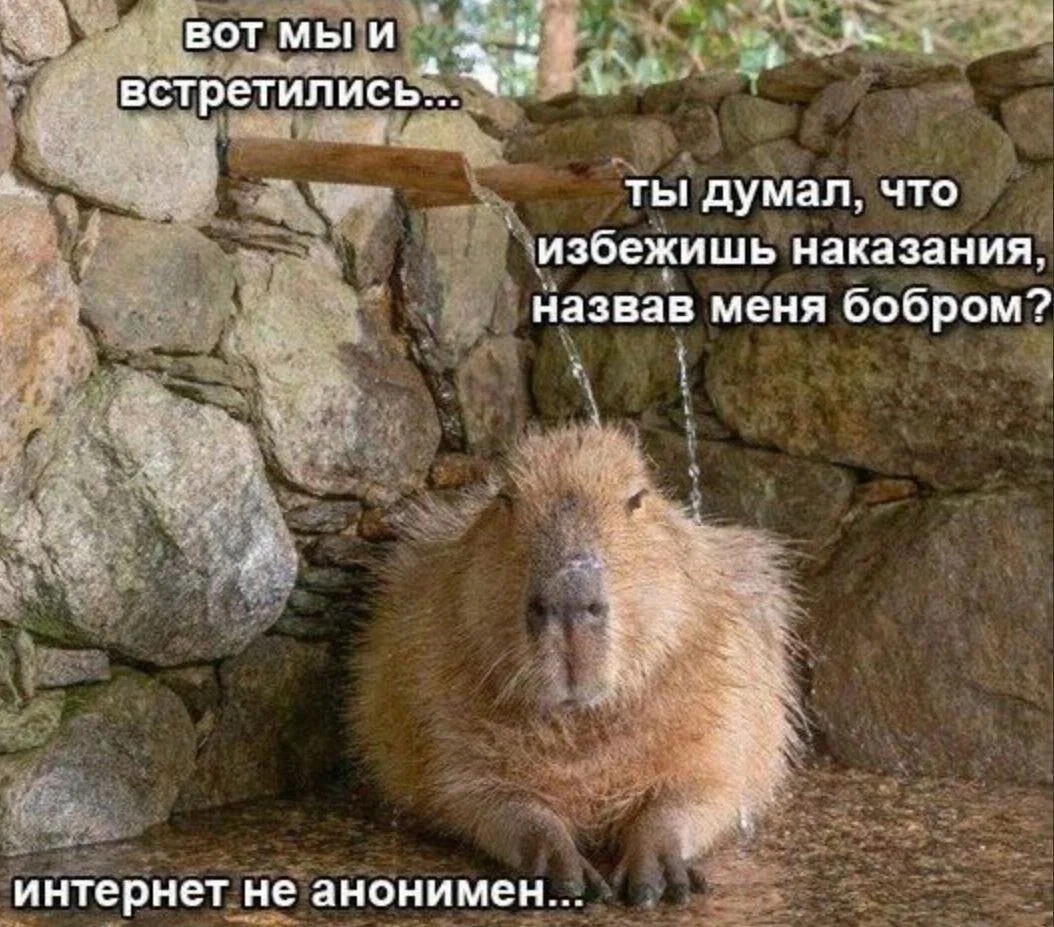 Дичкос сэр