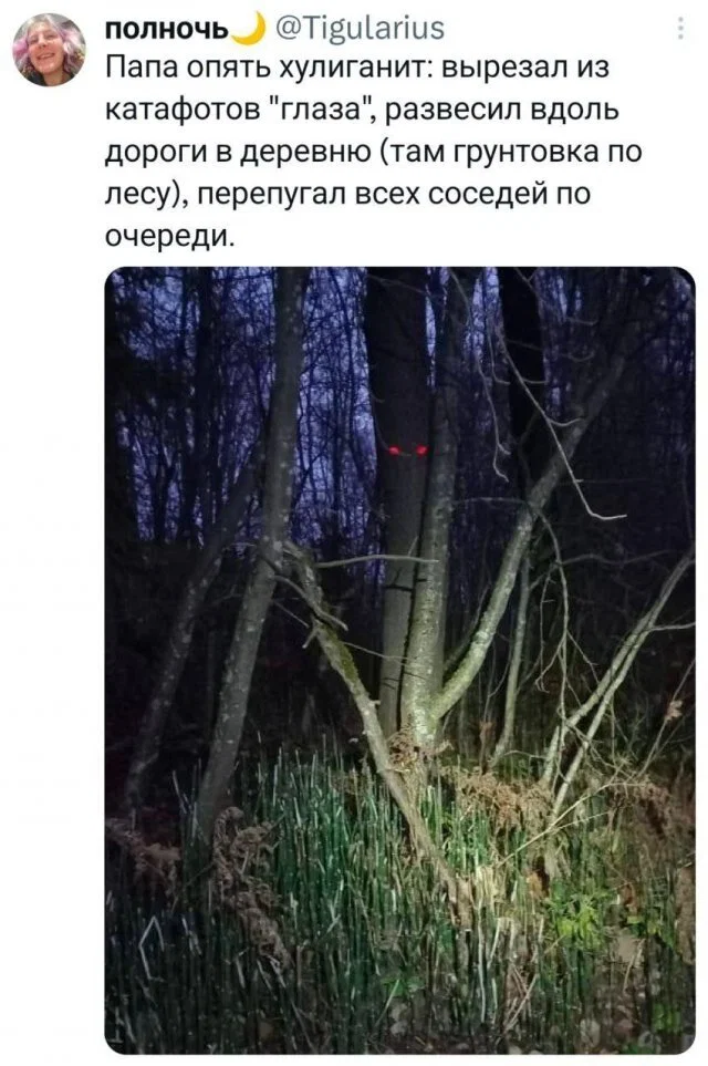 Дичка в ночку