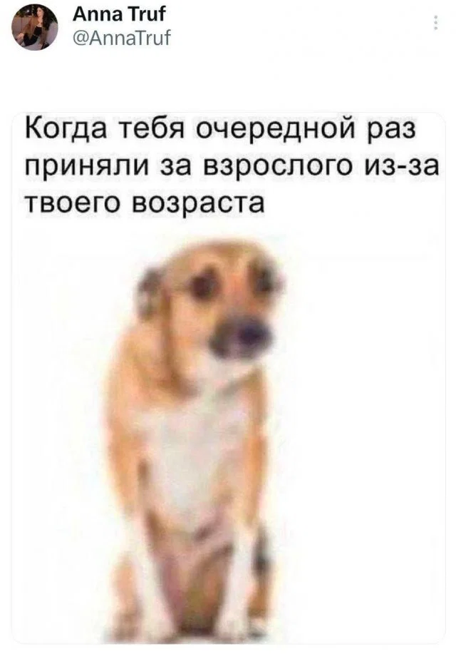 Дичка в ночку