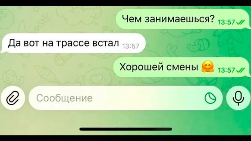 Дичка в ночку