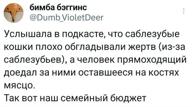 Дичка в ночку