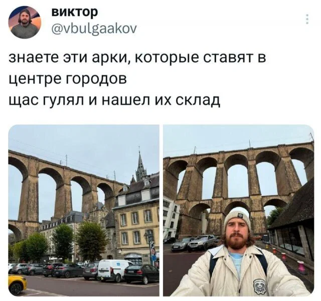 Дичка в ночку