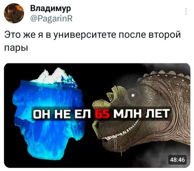 Дичка в ночку