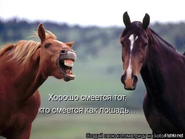 Дичка в ночку
