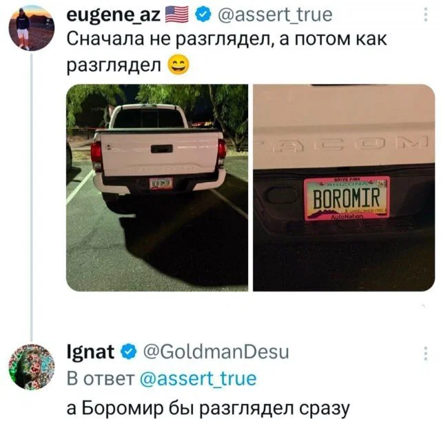 Дичка в ночку