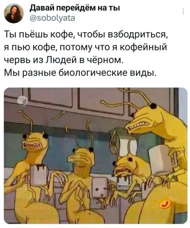 Дичка в ночку