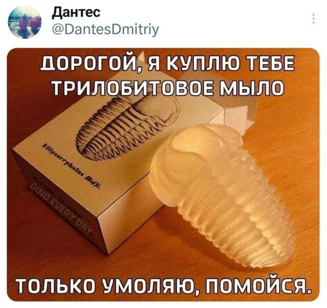 Дичка в ночку