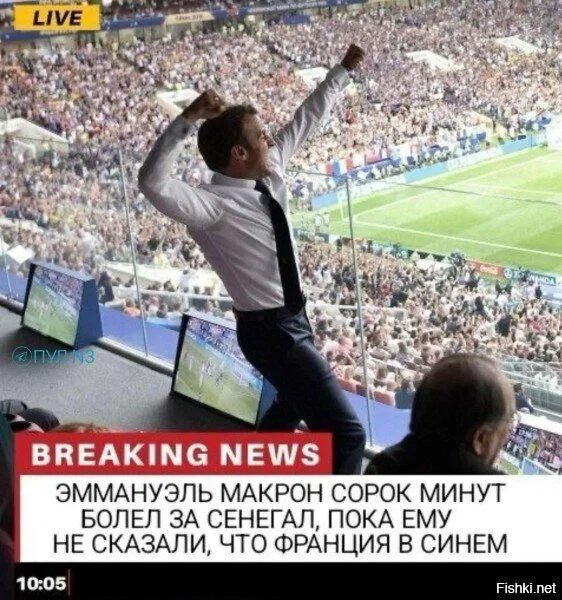 Дичка в ночку