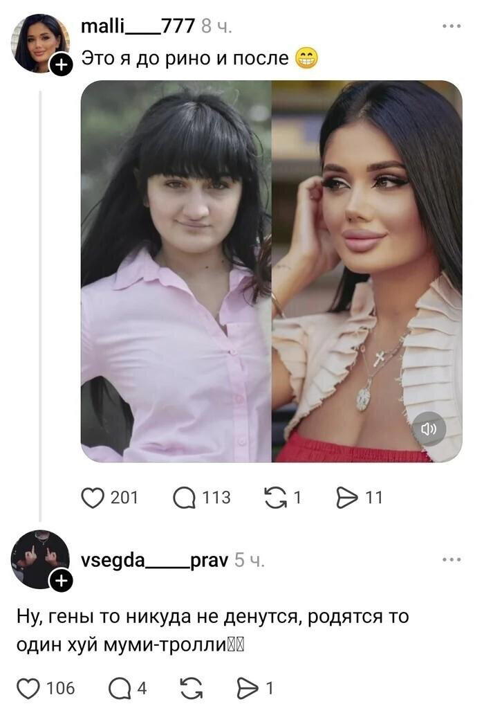 Дичка в ночку