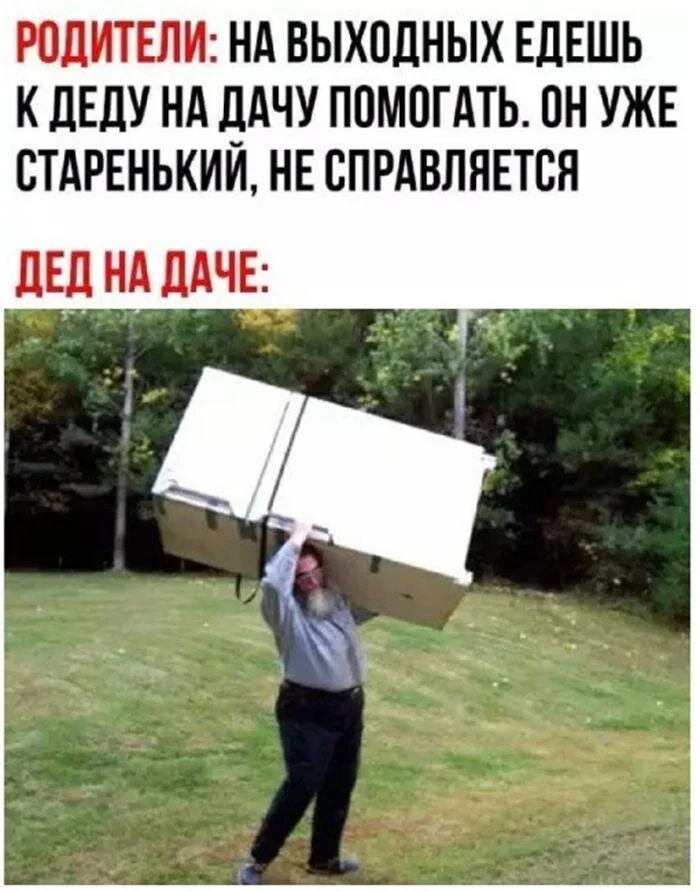Дичка в ночку