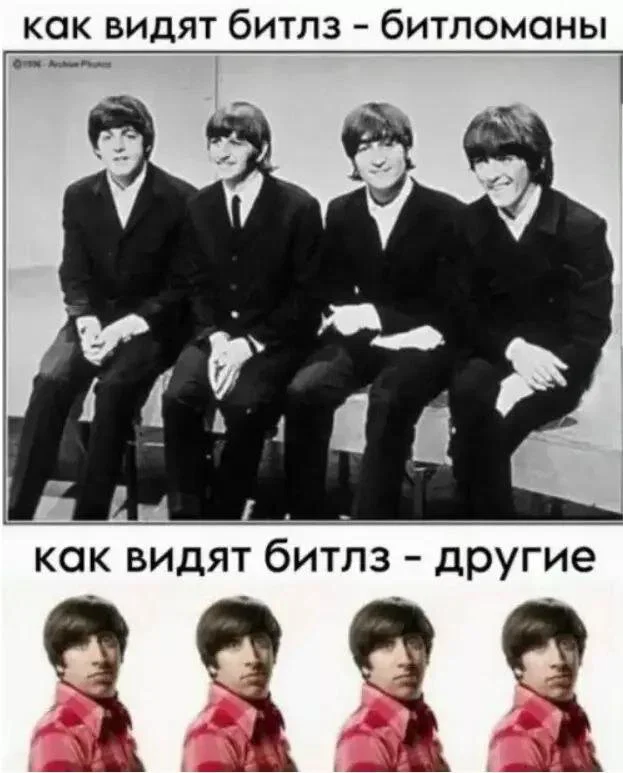 Дичка в ночку
