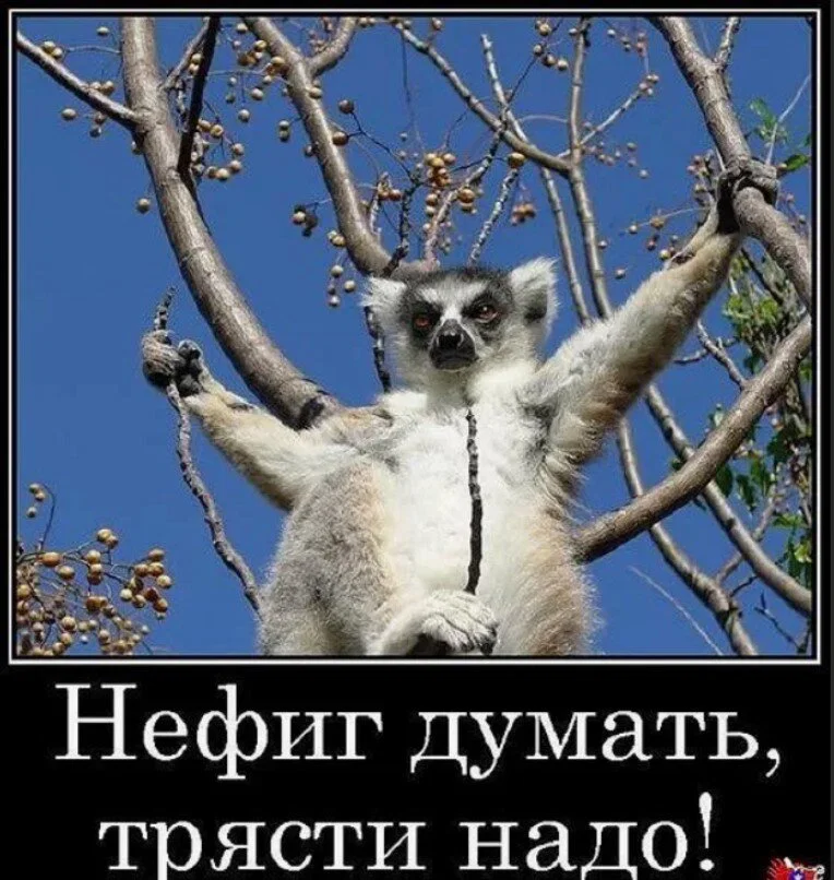 Ивент Вомбата. Слово недели - дурман