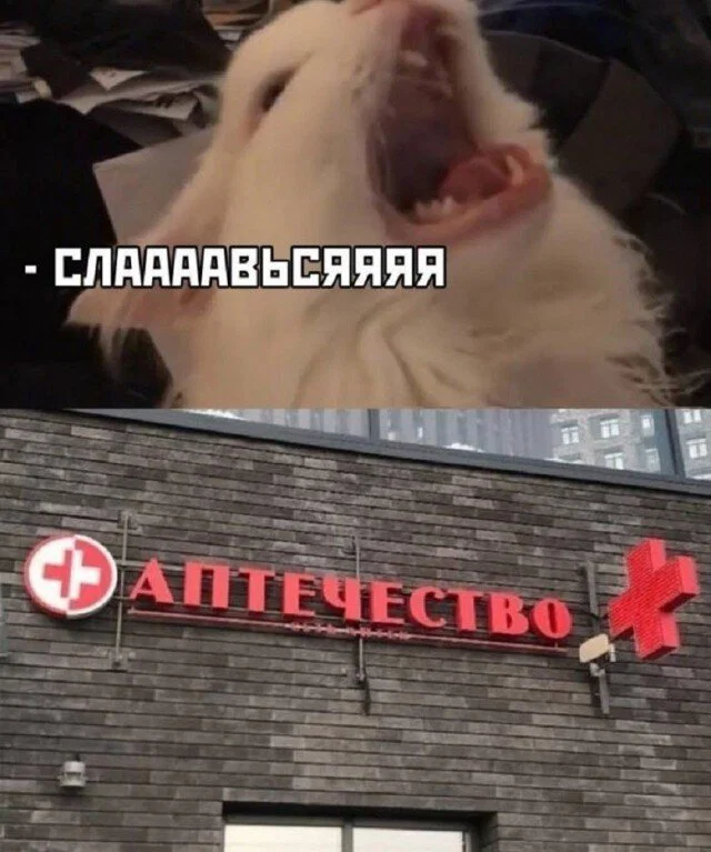 Дички в отсутствие инета
