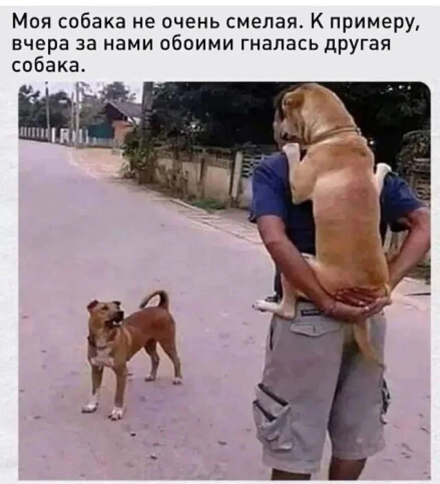 Дички в отсутствие инета